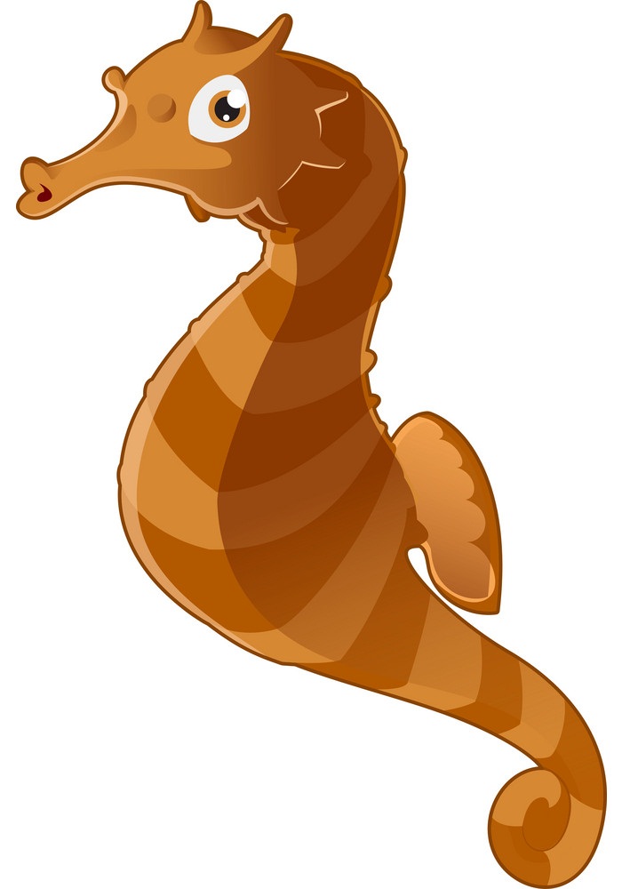 cartoon seahorse