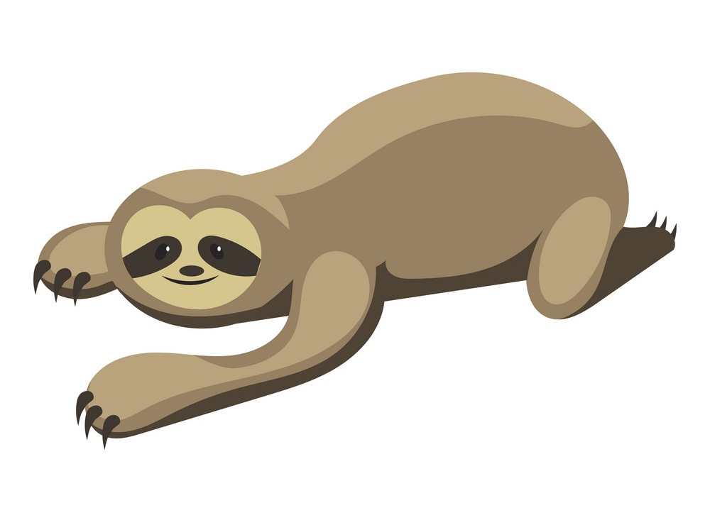 cartoon sloth