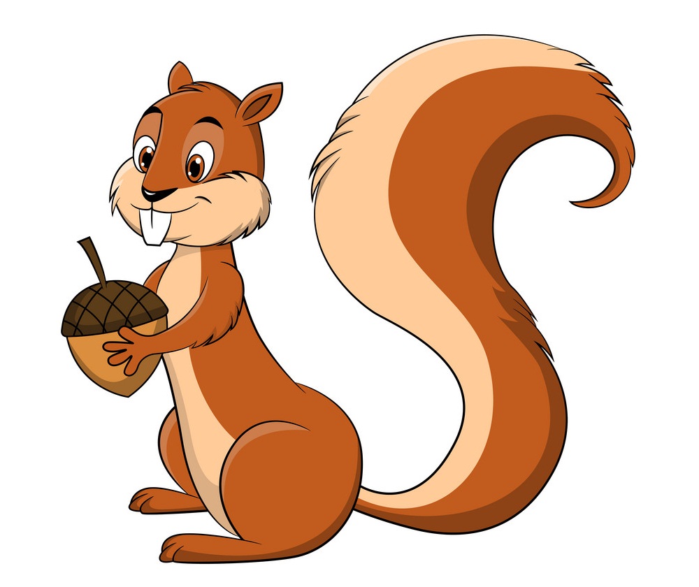 cartoon squirrel holding nut
