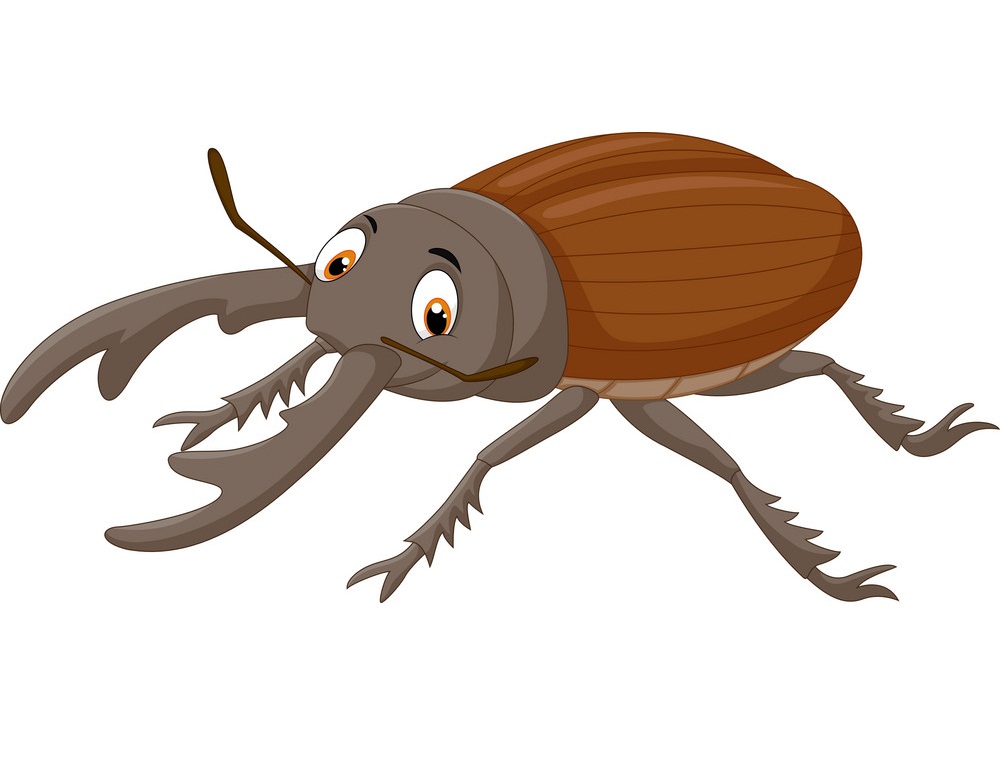 cartoon stag beetle 1