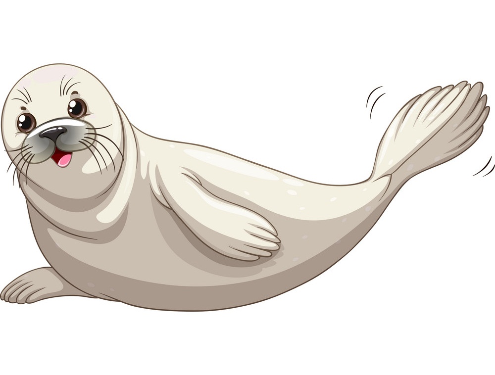 cartoon white seal