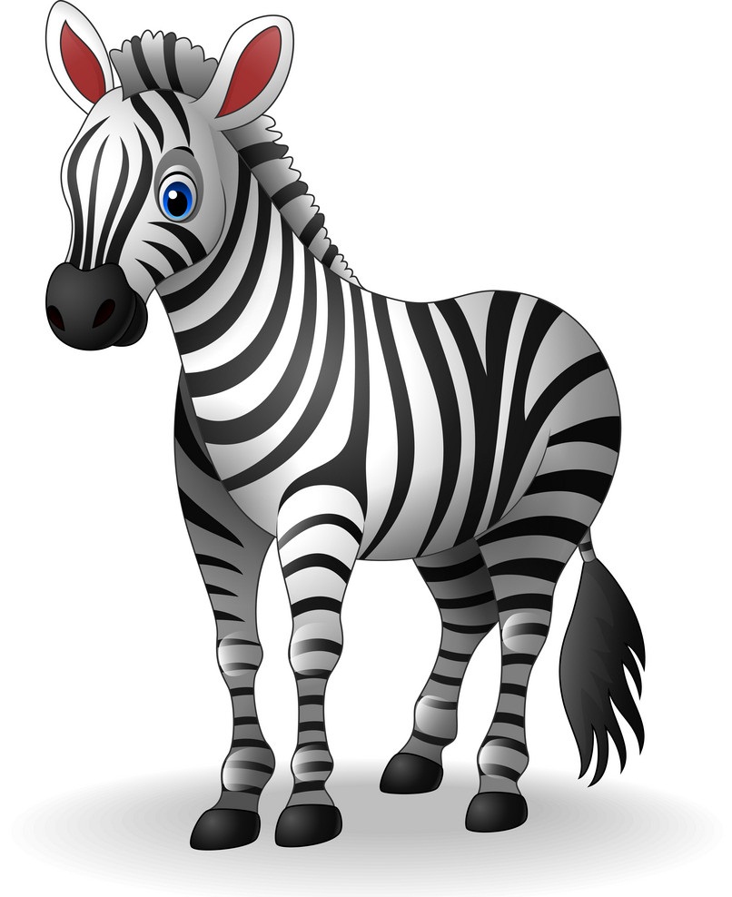 cartoon zebra standing