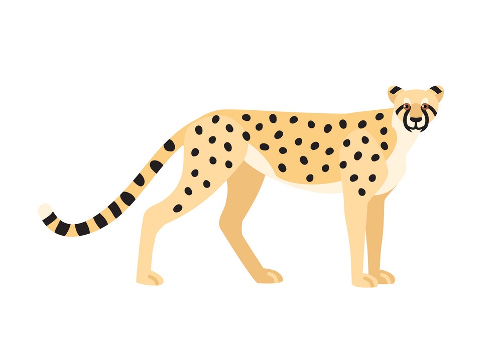 cheetah flat design