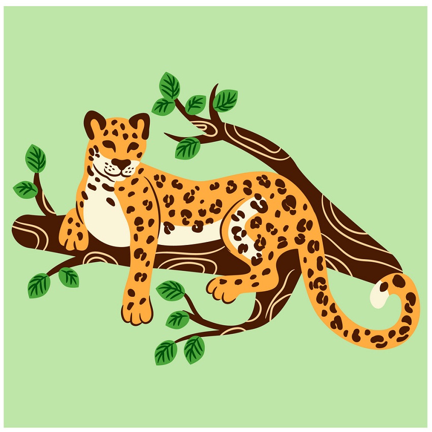 cheetah on a tree branch