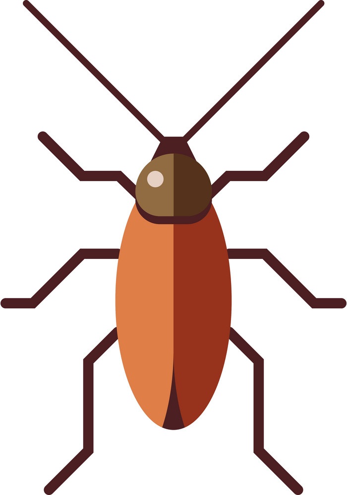 cockroach icon design