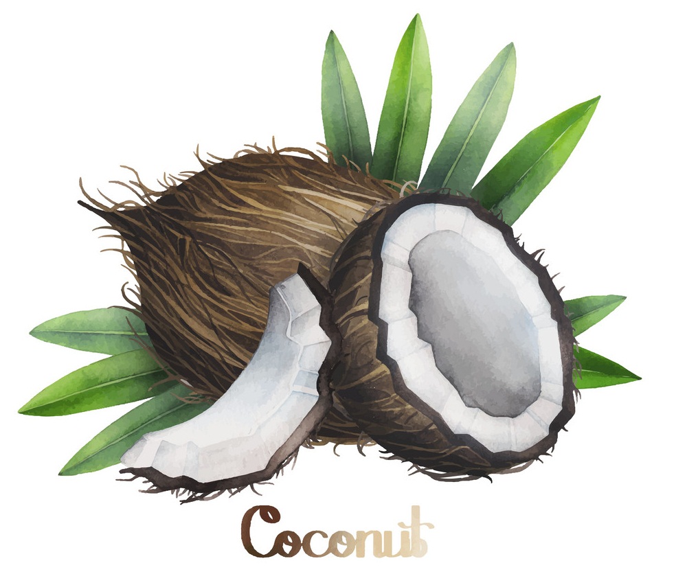 coconuts 2