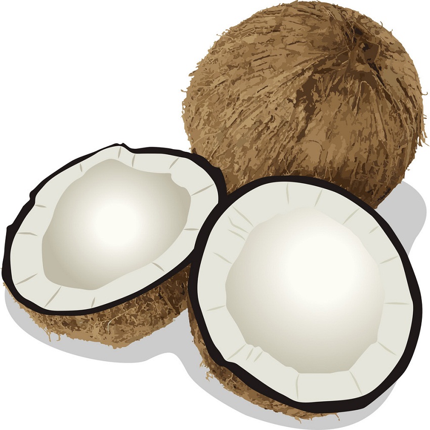coconuts 3