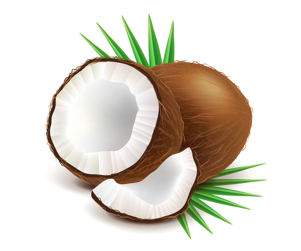 coconuts and slice