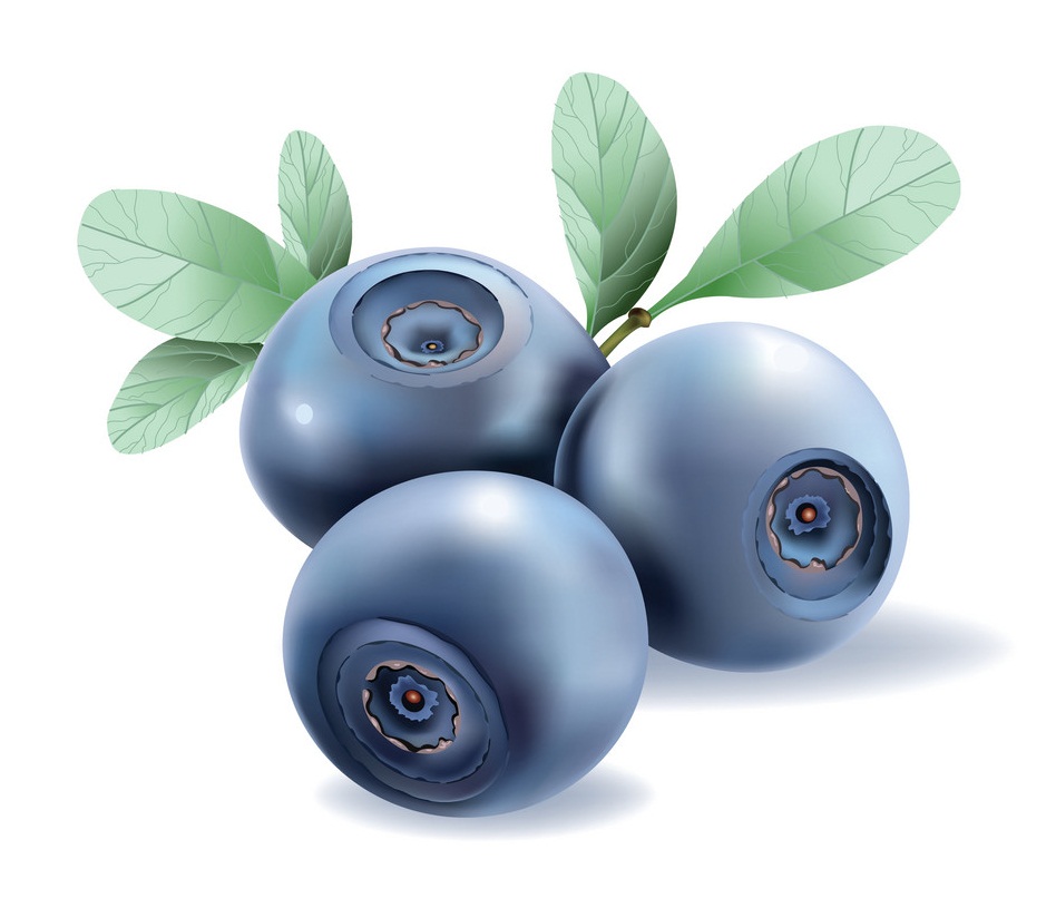 cool blueberry