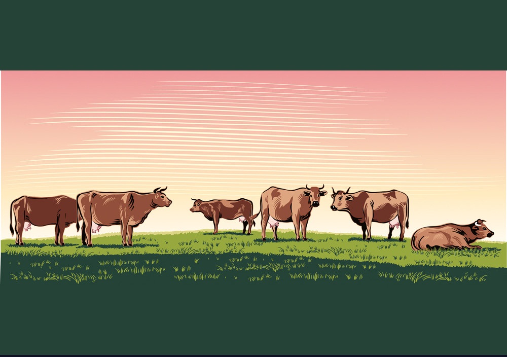 cows grazing with landscape