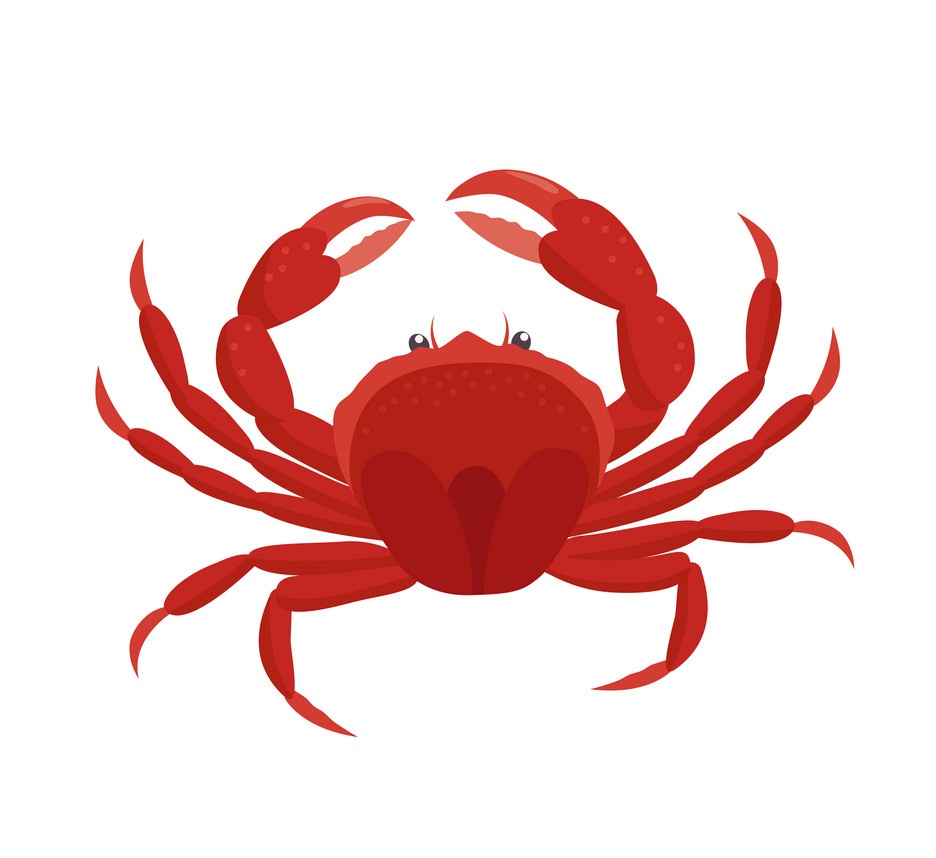 crab flat design