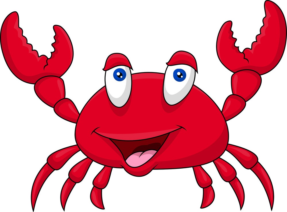 crab looks happy