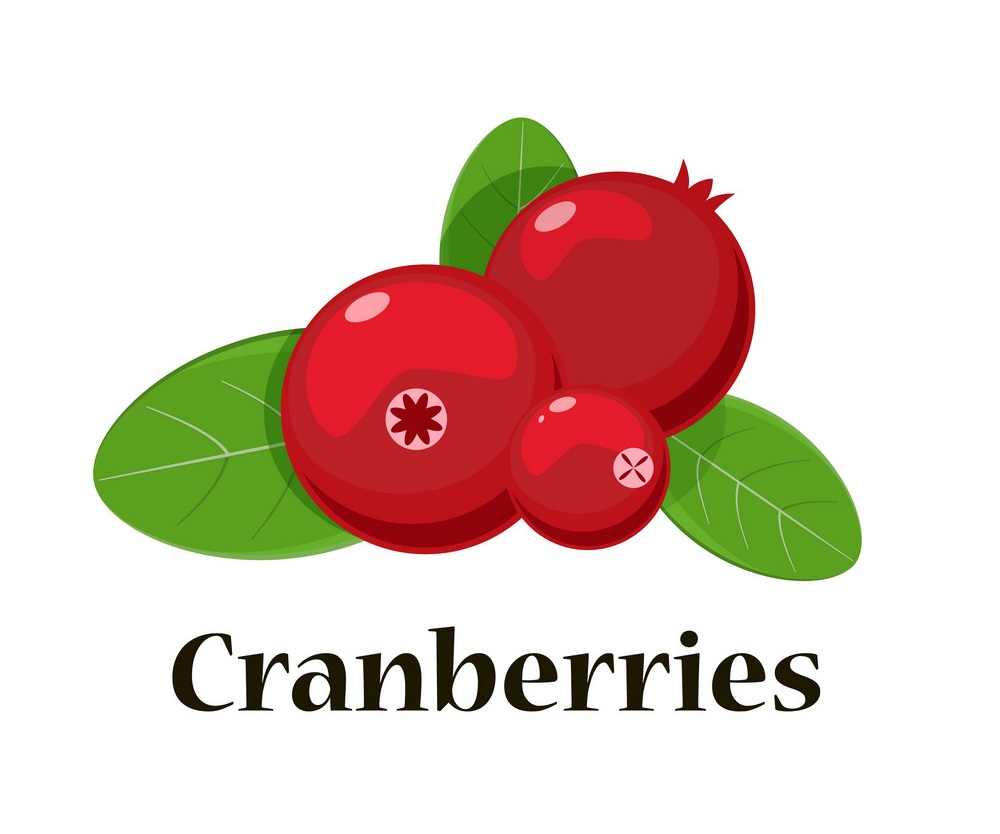 cranberries 4
