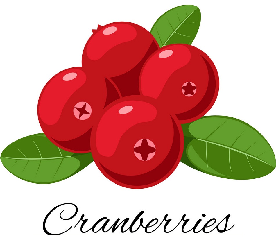 cranberries fruit