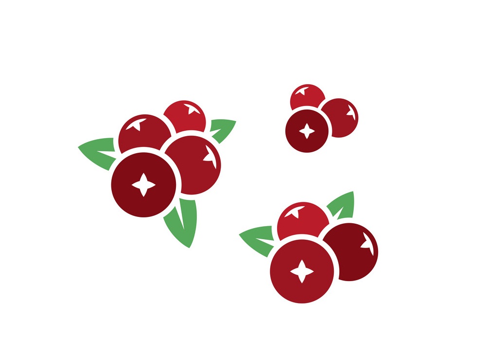 cranberries icon