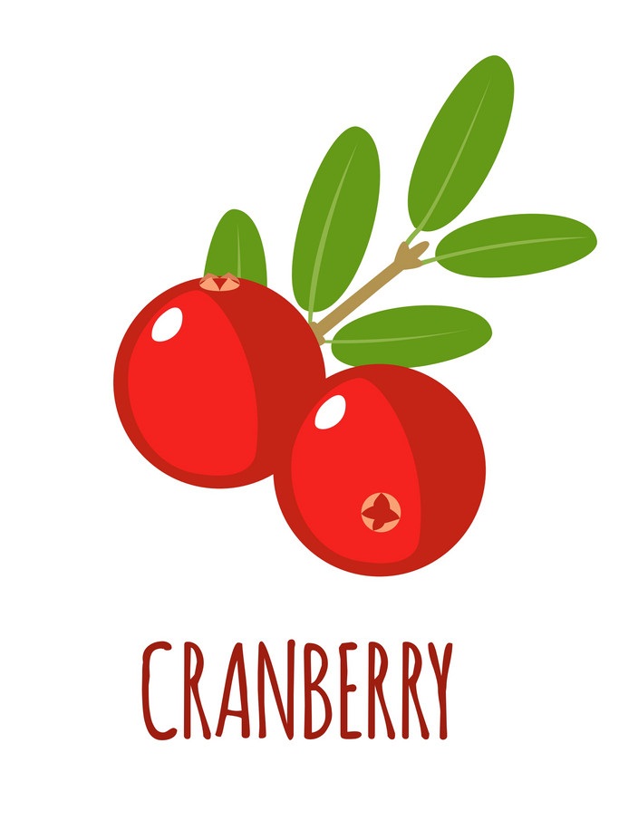 cranberry flat icon