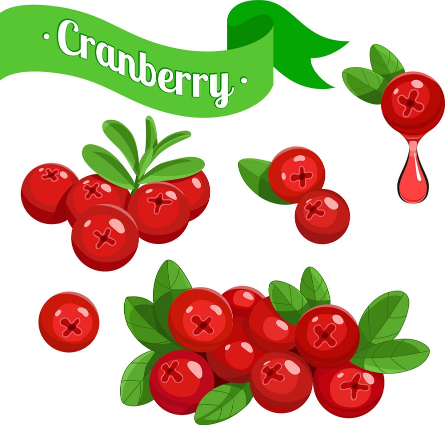 cranberry fruits 1