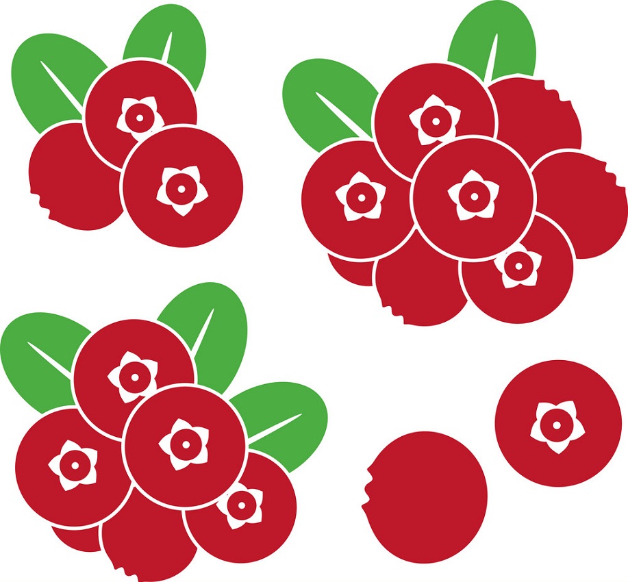 cranberry icons