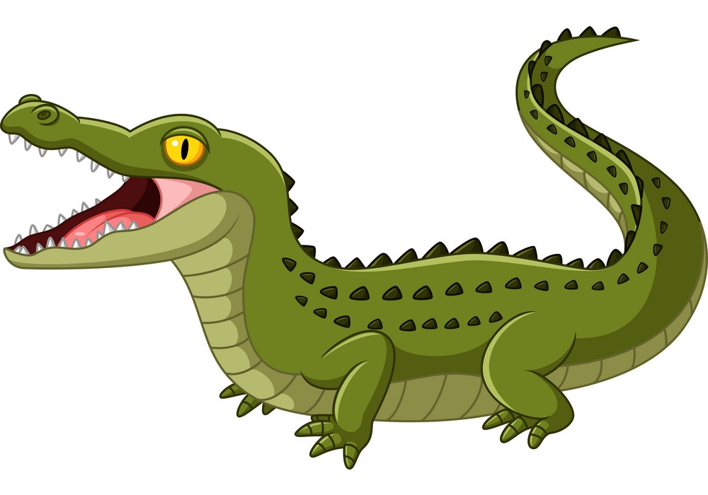 crocodile opening mouth