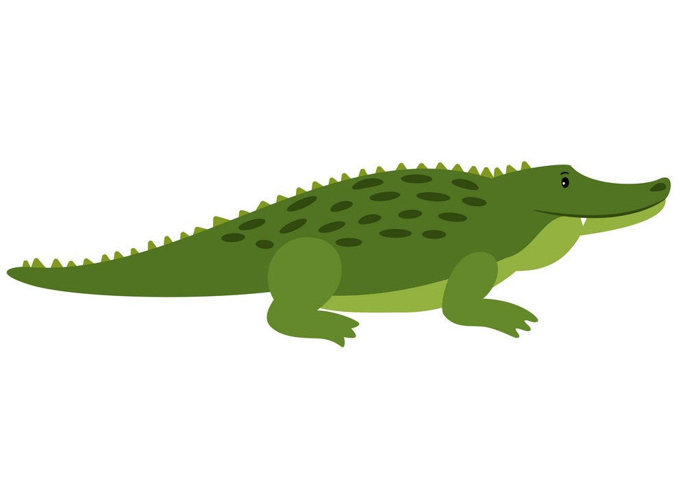 crocodile simple design