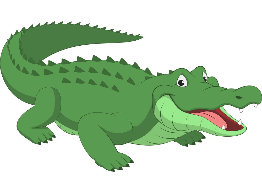 crocodile smiling