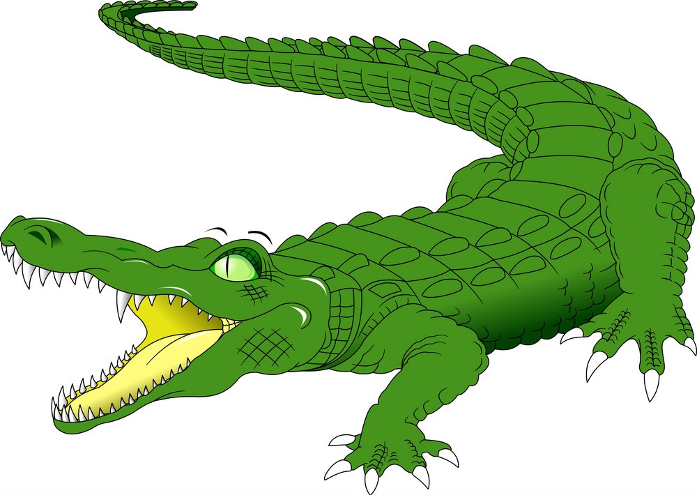 crocodile with big mouth