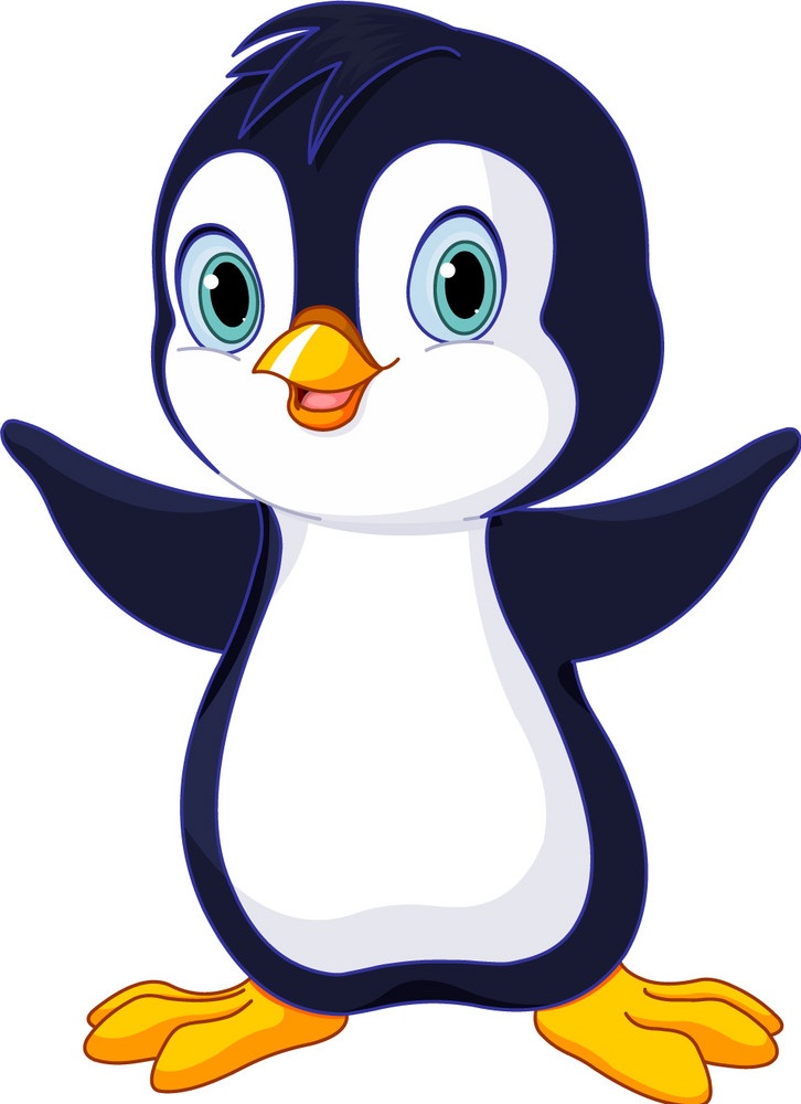 cute baby penguin
