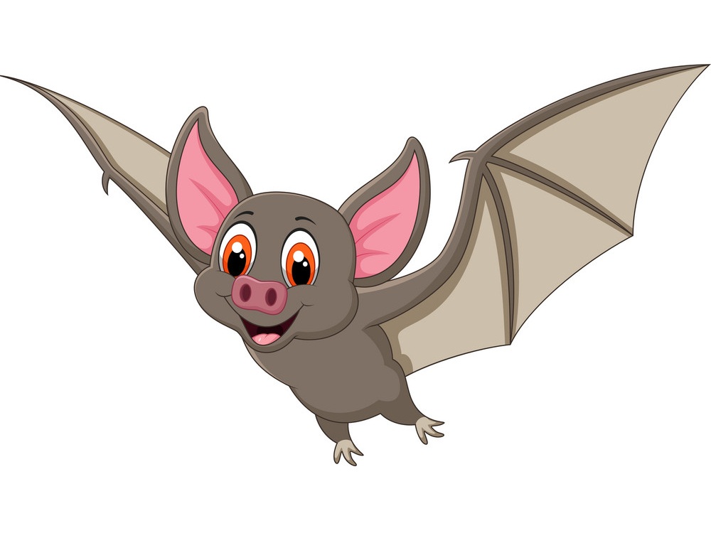 cute bat flying