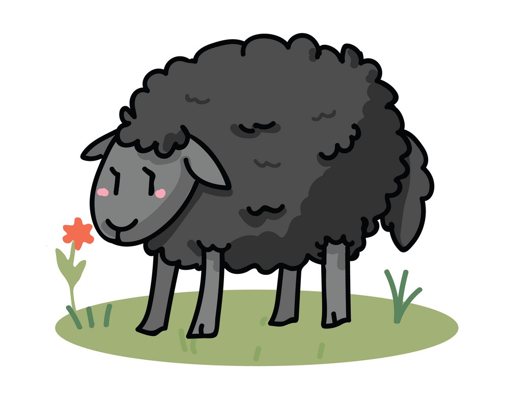 cute black sheep