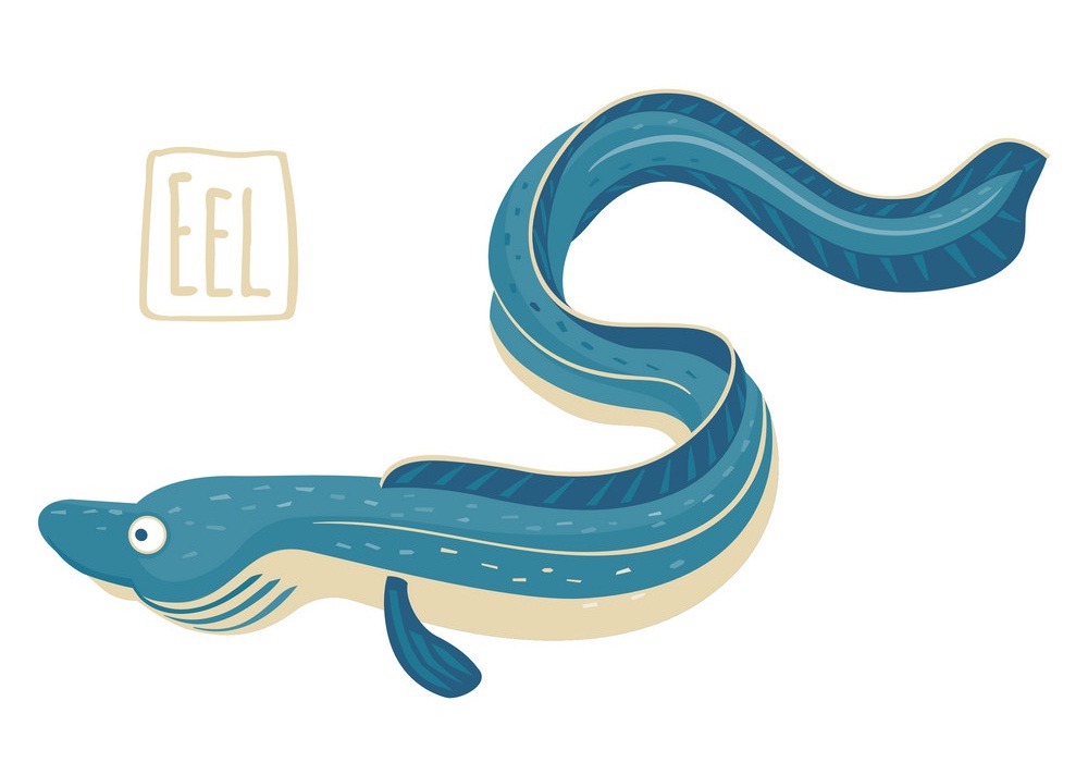 cute blue eel