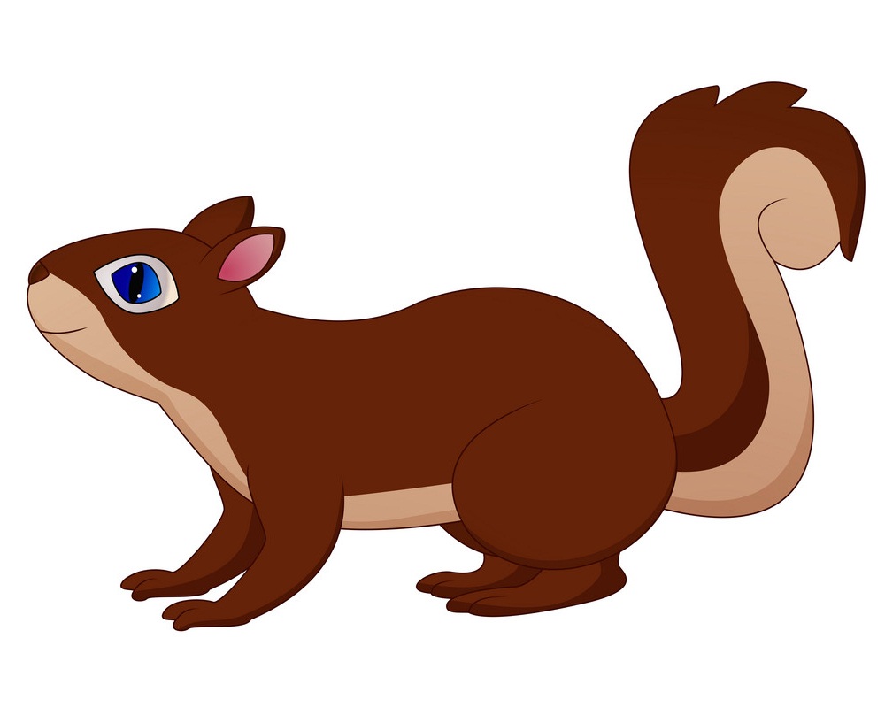 cute brown squirrel