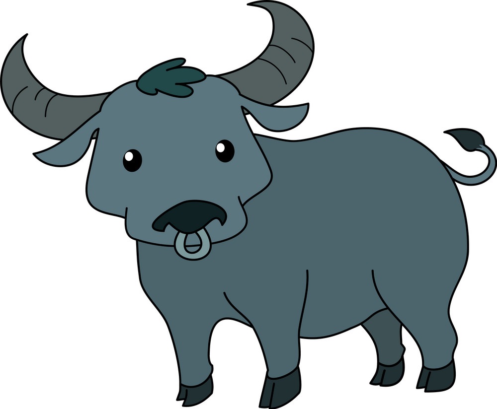 cute buffalo 1