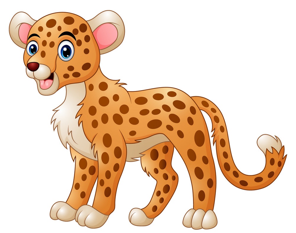 cute cheetah