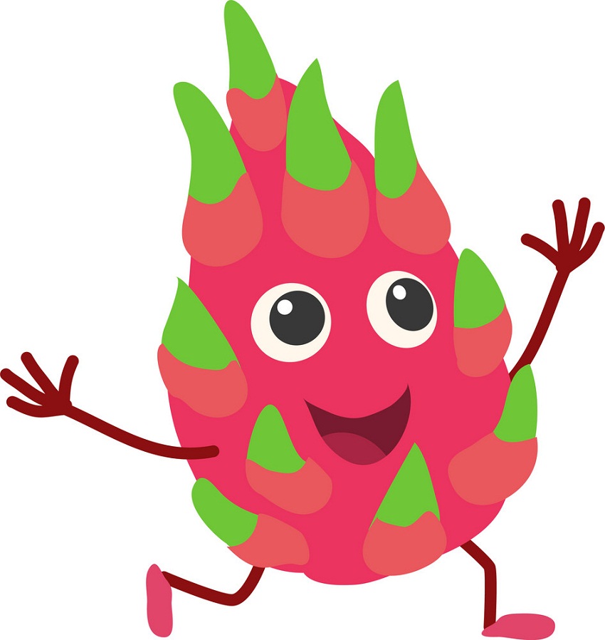 cute dragon fruit running