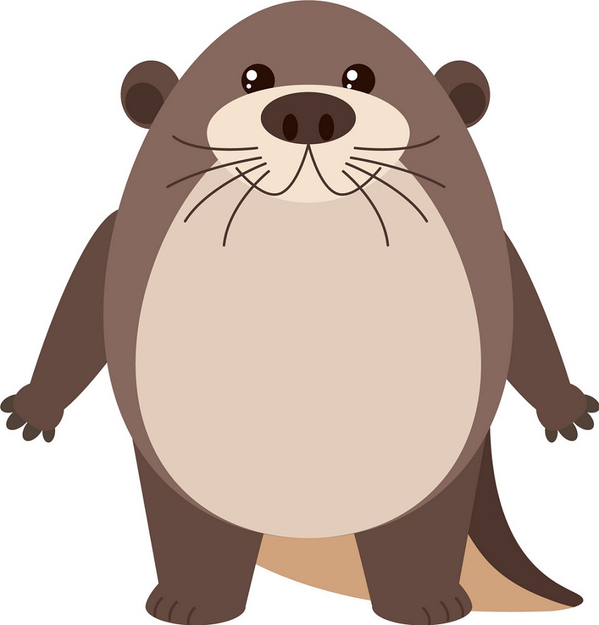 cute fat otter