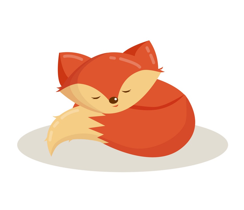 cute fox sleeping