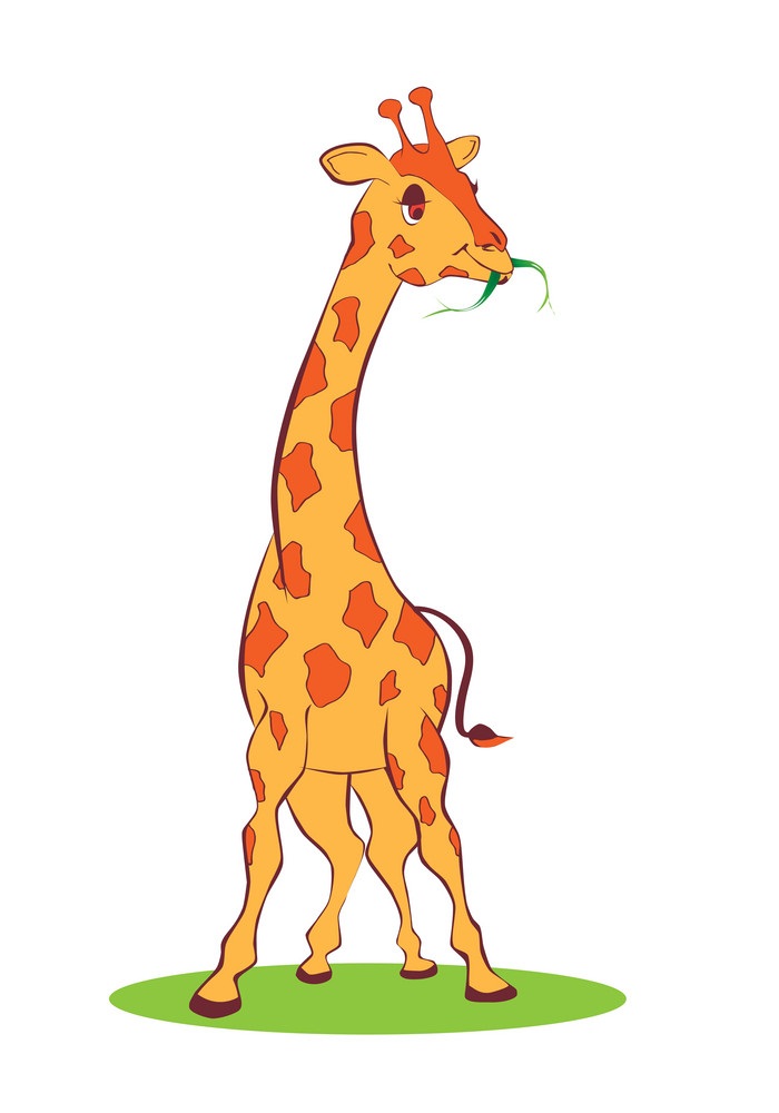 cute giraffe eating leaf