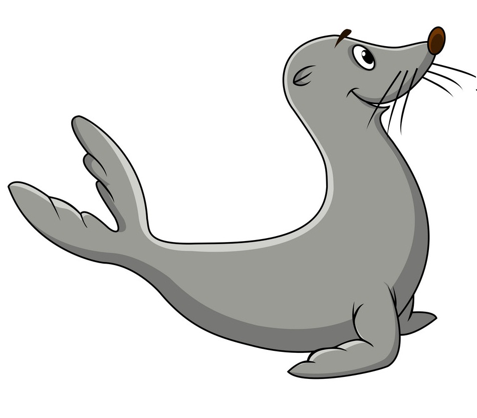 cute gray seal
