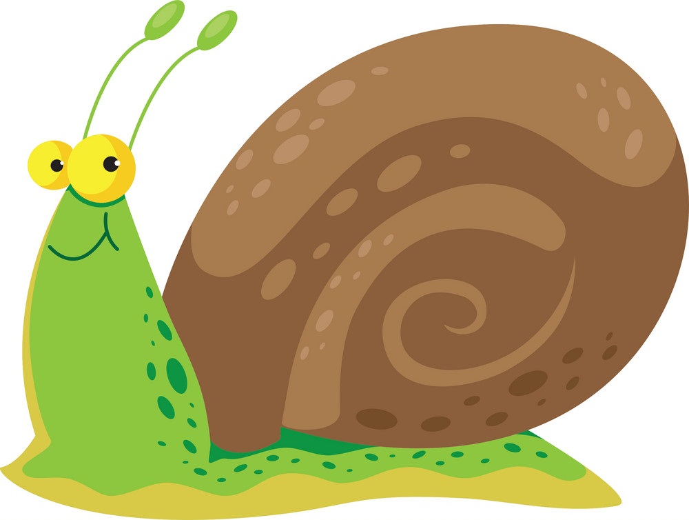 cute green snail