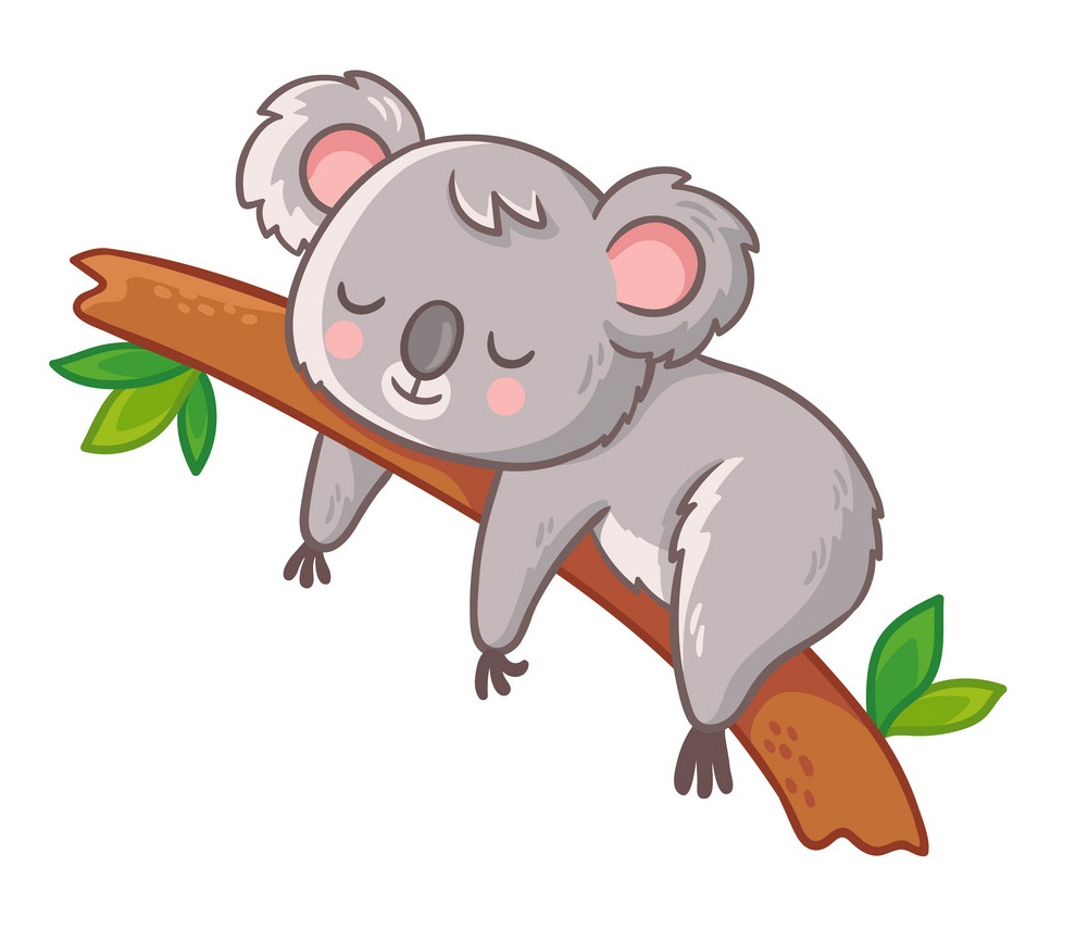 cute koala sleeping on a tree branch