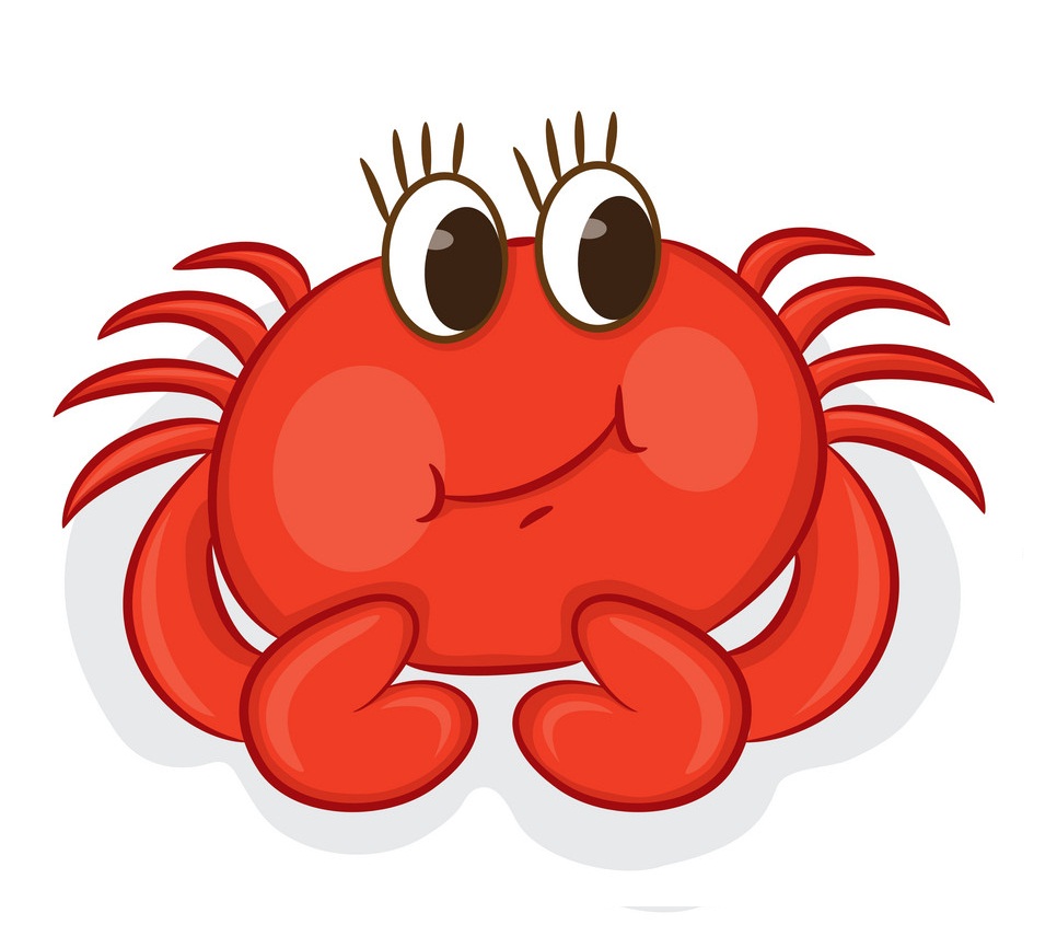 cute little crab