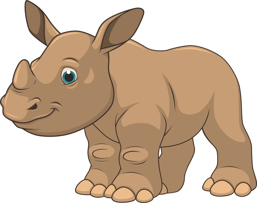 cute little rhino