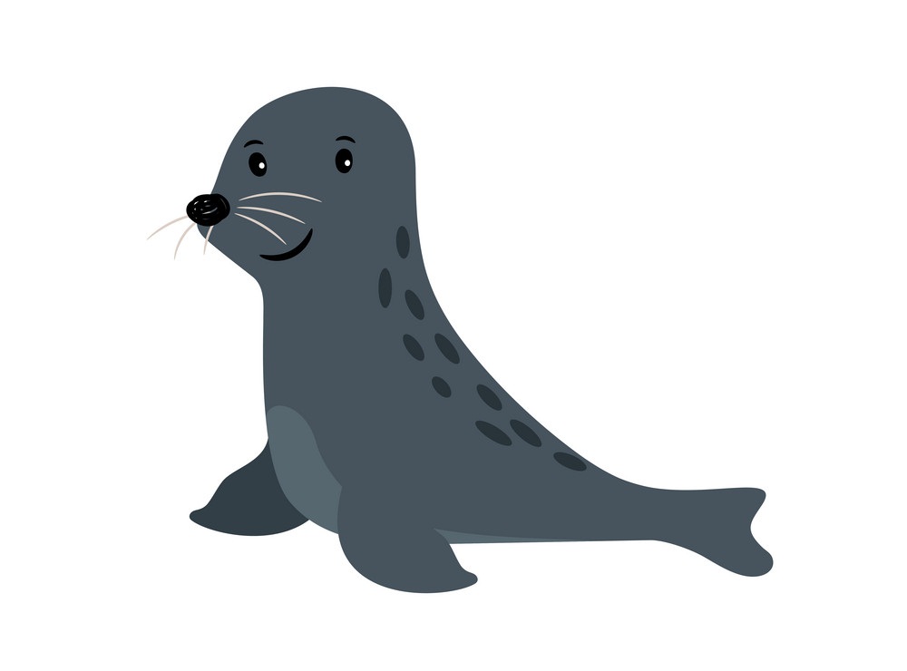 cute little seal