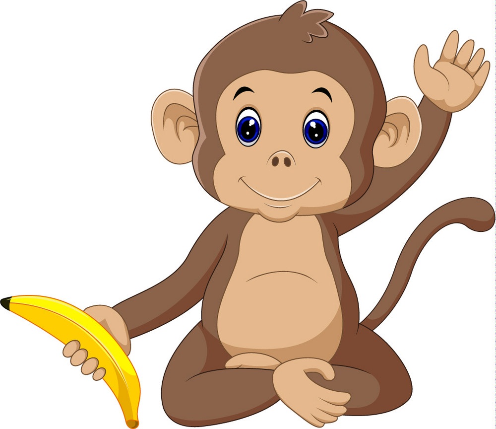 cute monkey holding a banana