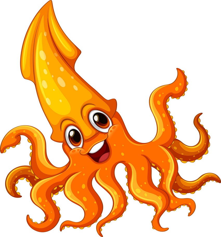 cute orange squid
