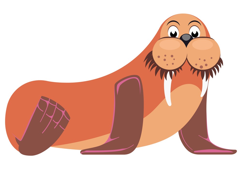 cute orange walrus