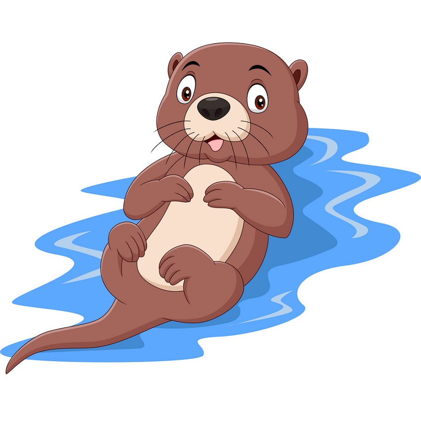 cute otter on water