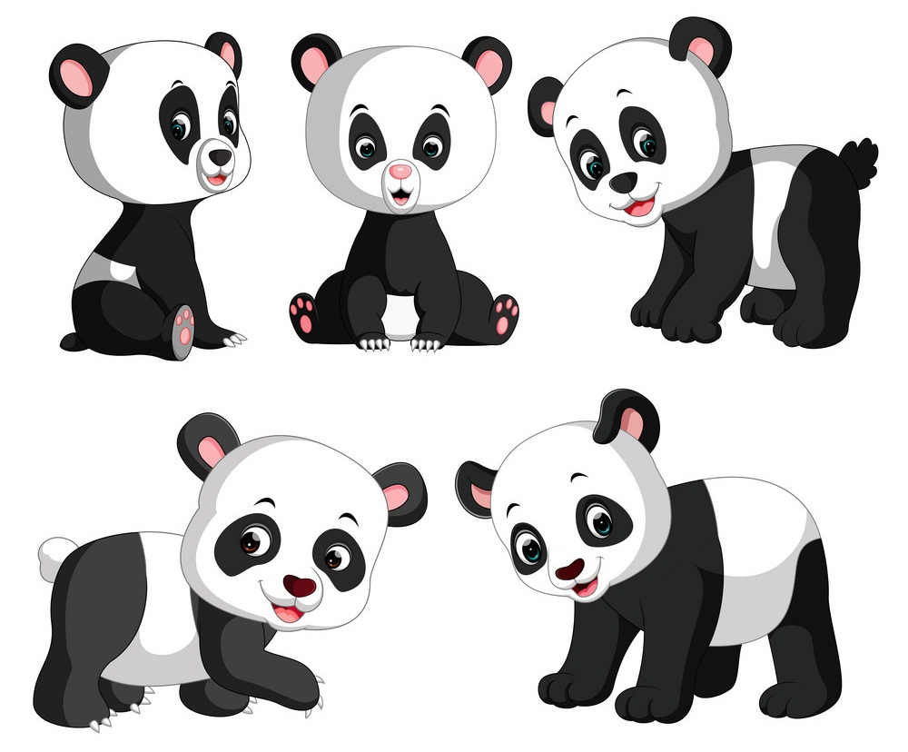 cute panda collection