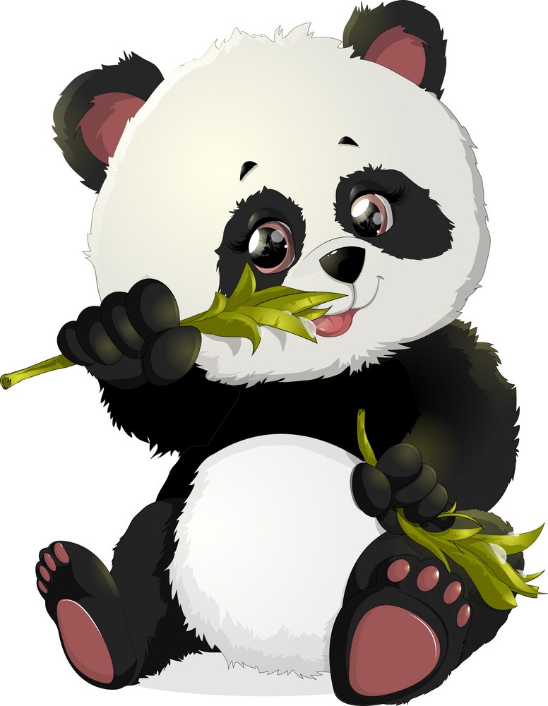 cute panda eating bamboo leaves