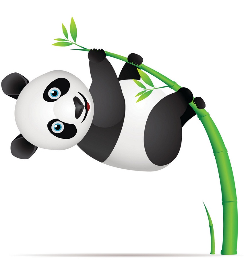 cute panda on bamboo branch